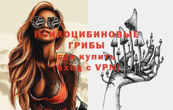 PSILOCYBIN Алзамай
