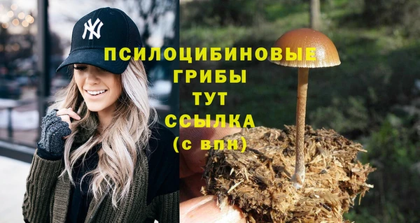 стаф Алексеевка