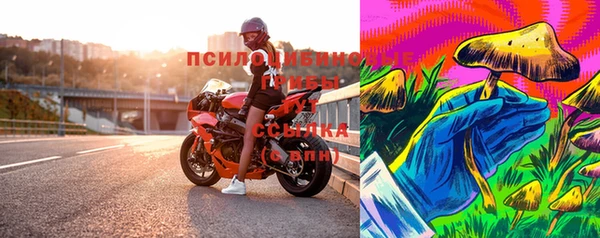 PSILOCYBIN Алзамай