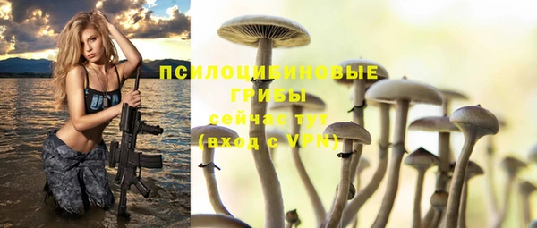 стаф Алексеевка