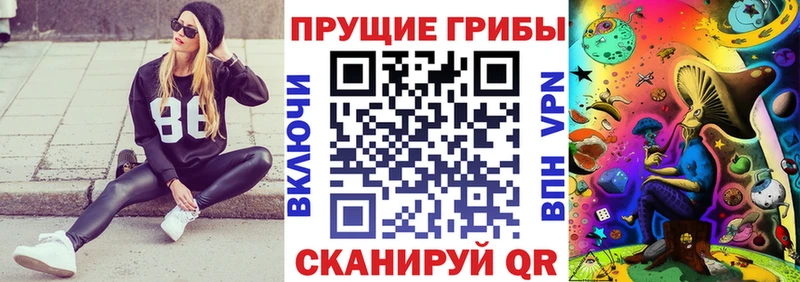 закладки Порхов Галлюциногенные грибы ЛСД